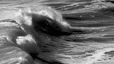 Wave
